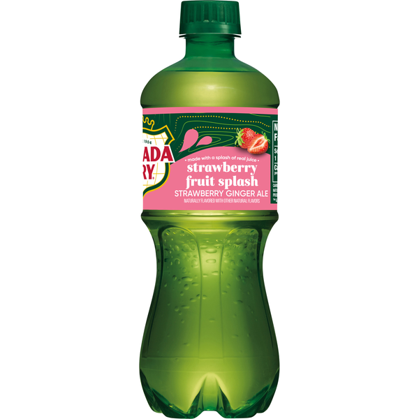 large_d0bb731e-8957-4472-827b-dcbb6ac2e0e5 Canada Dry Fruit Splash Strawberry Ginger Ale Soda 1ct - Image 1
